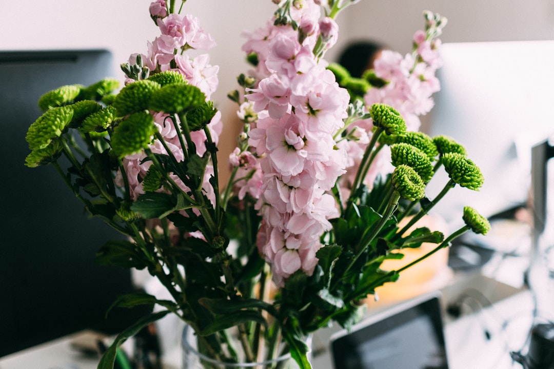 pink flower bouquet