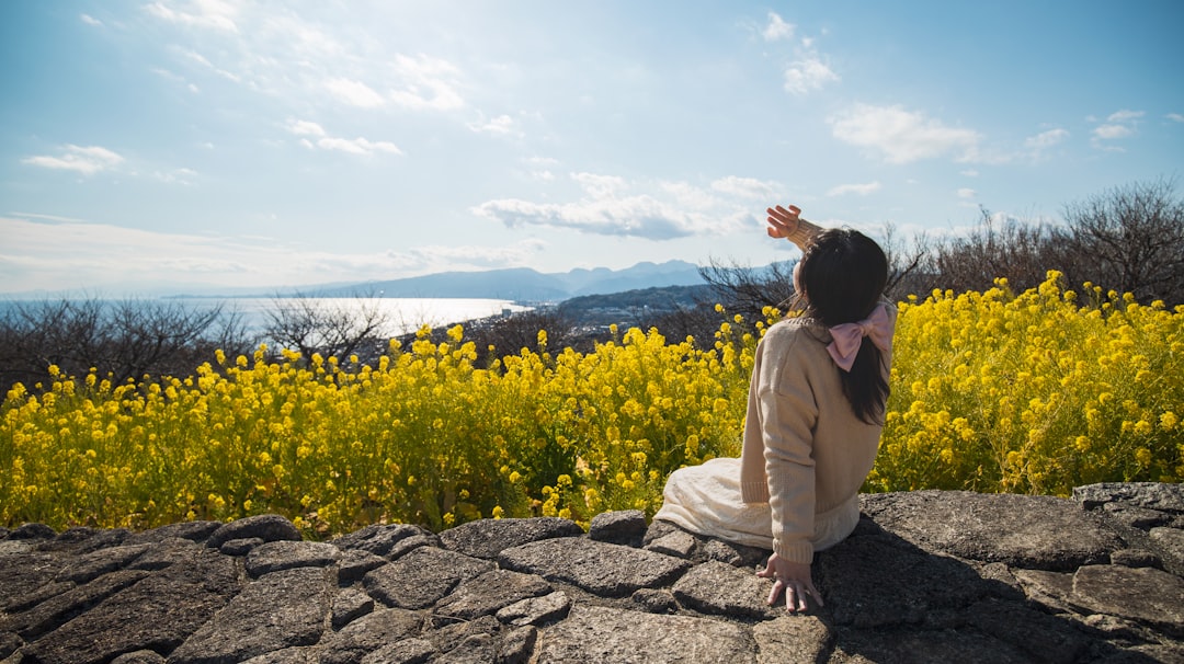 a woman sitting on a rock looking at a field of yellow flowers