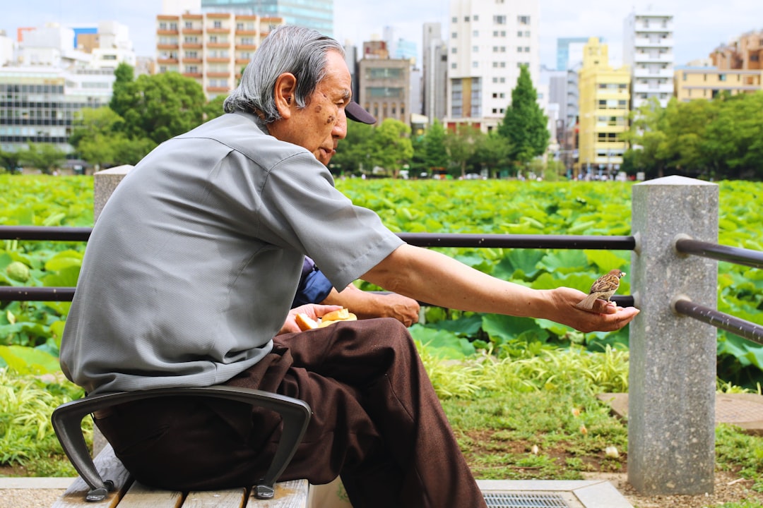 A man sitting on a bench in a park