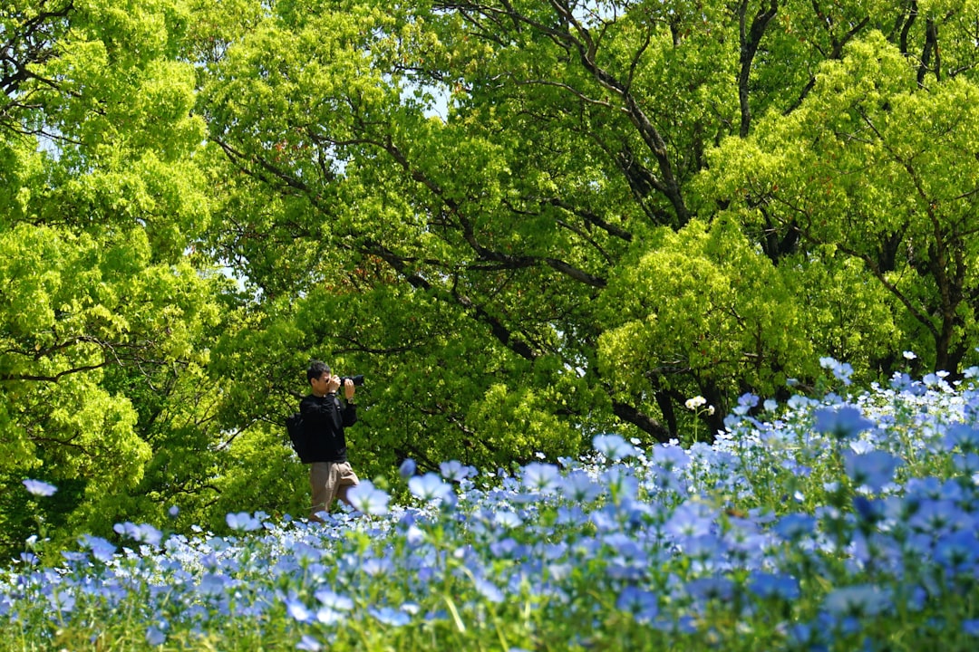 A person takes a photo in a field of flowers.