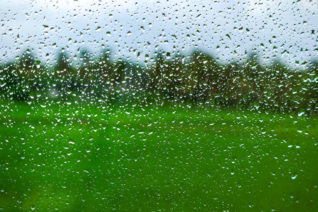 water droplets on glass during daytime