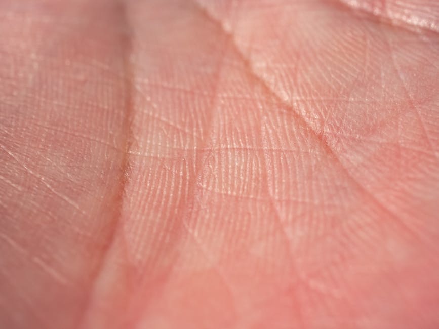 Macro photograph showing detailed texture and lines of human palm skin.