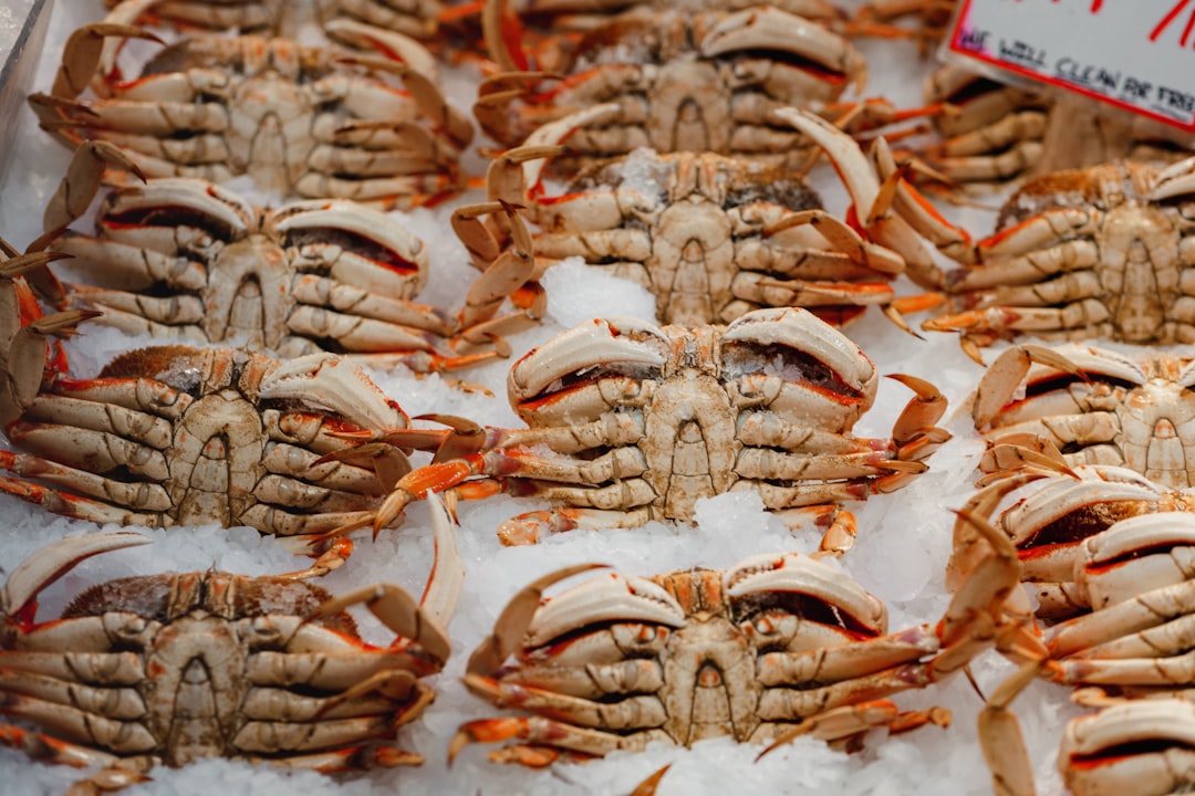 a bunch of crabs that are on some ice
