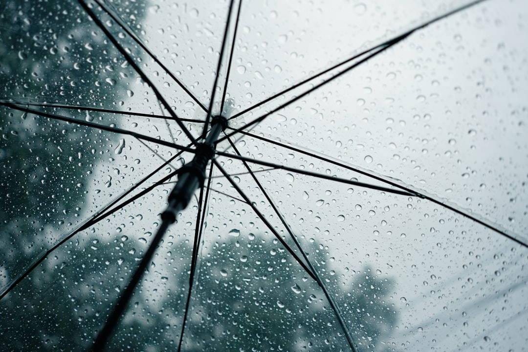 Raindrops on an umbrella, looking up.