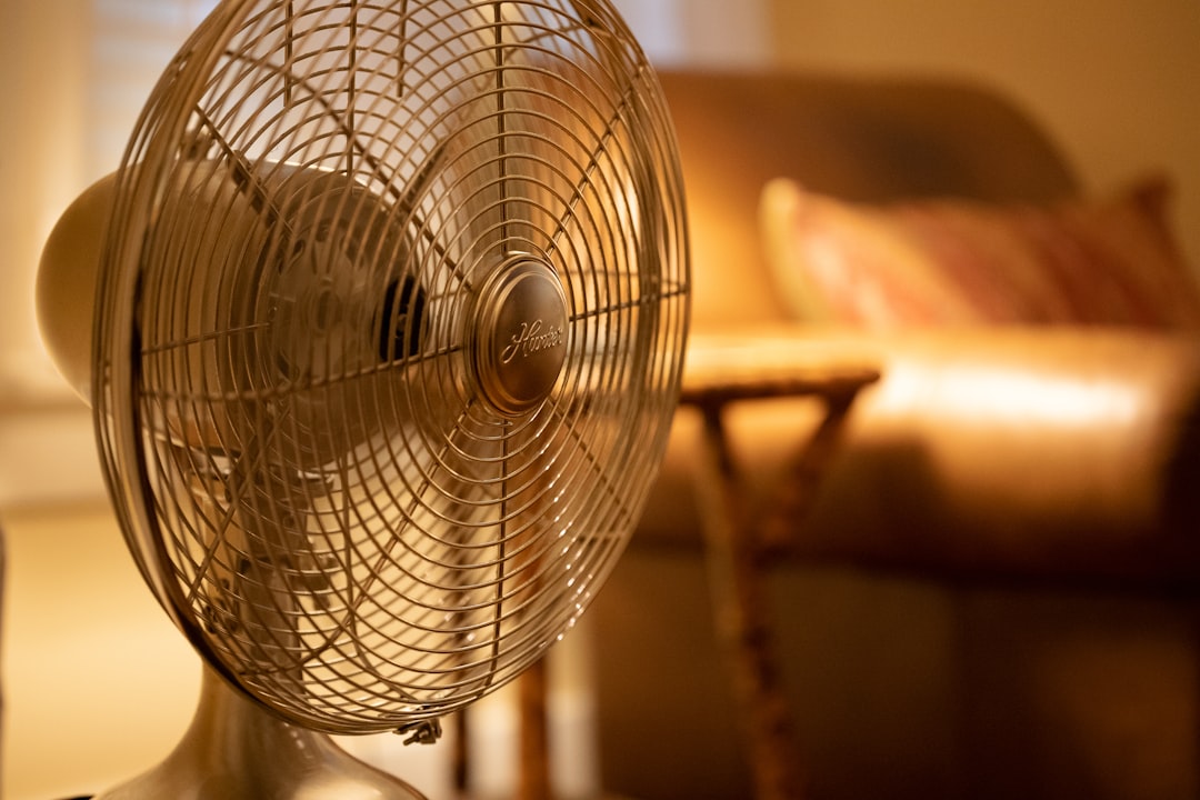 A metal desk fan with a wire cage in a warm sunlit room