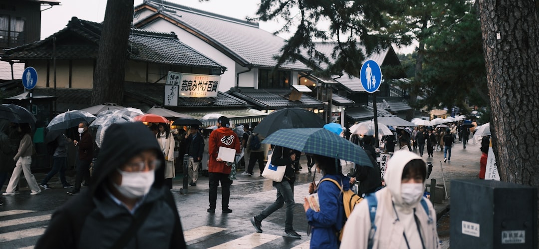 a group of people walking down a street holding umbrellas